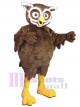 Previous