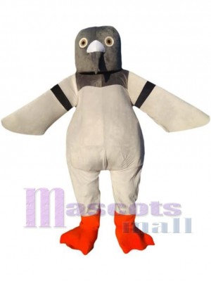 Pigeon Mascot Costume