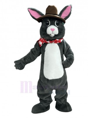 Easter Bunny Rabbit mascot costume