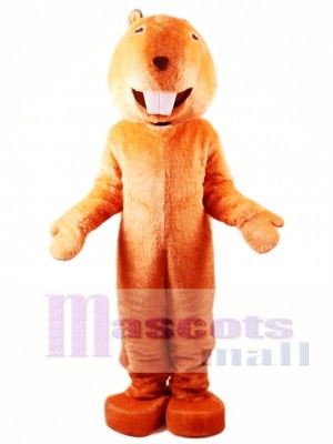 Adult Beaver Mascot Costume