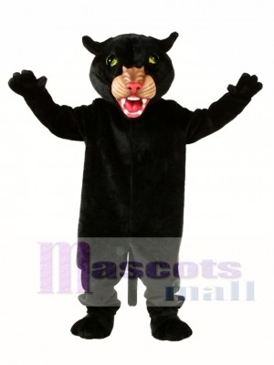 Black Panther Mascot Costume