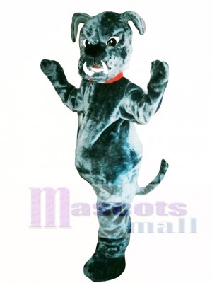 Bull Dog Mascot Costume Adult Costume