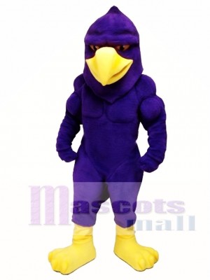 Power Hawk Mascot Costume