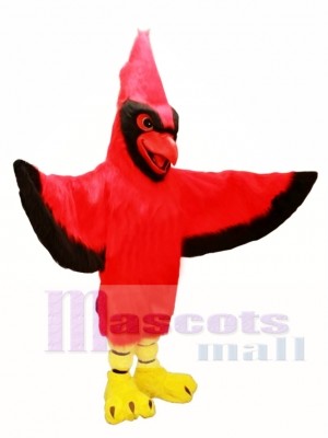 All Red Cardinal Mascot Costume