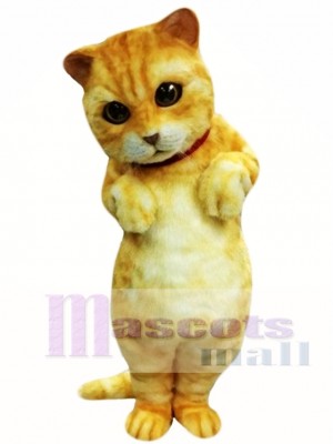 Cute Animal Cat Mascot Costume