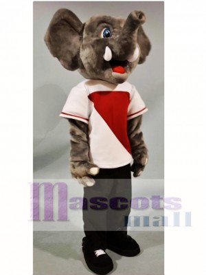 Happy Elephant Mascot Costume