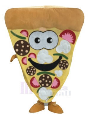 Pizza mascot costume