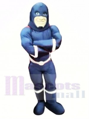 Blue Super Hero Mascot Costume 