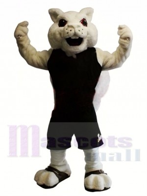 Squirrel mascot costume