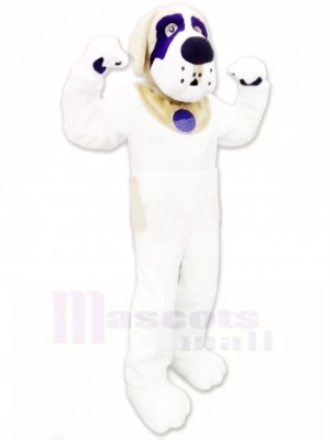 Lovely St. Bernard Dog Mascot Costume