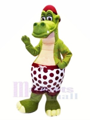 Best Quality Crocodile Mascot Costumes Animal