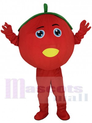 Tomato mascot costume