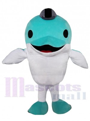 Dolphin mascot costume