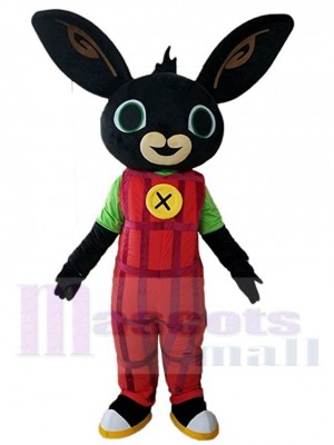 Rabbit mascot costume
