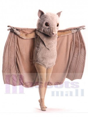 Stellaluna Bat mascot costume