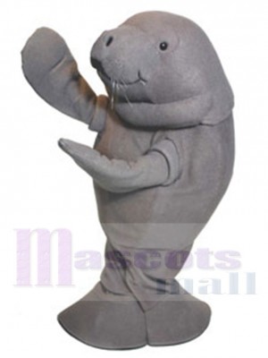 Manatee mascot costume