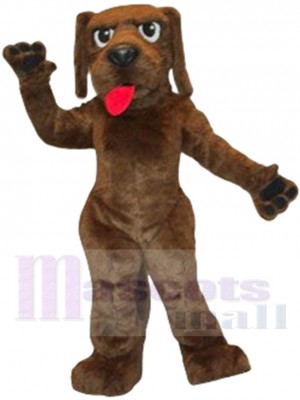 Hank Dog mascot costume
