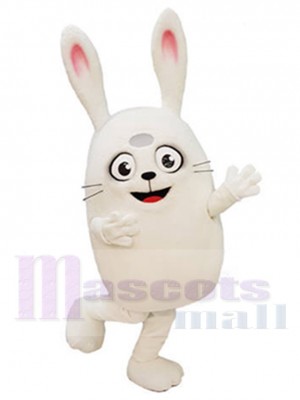 Rabbit mascot costume