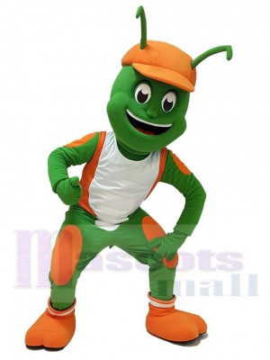 Insect mascot costume