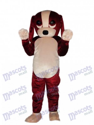 Fortune Dog Mascot Adult Costume