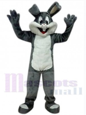 Easter Bunny Rabbit mascot costume