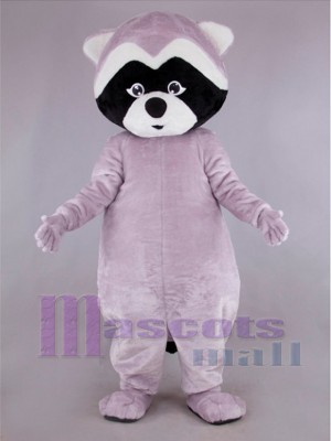 Raccoon mascot costume