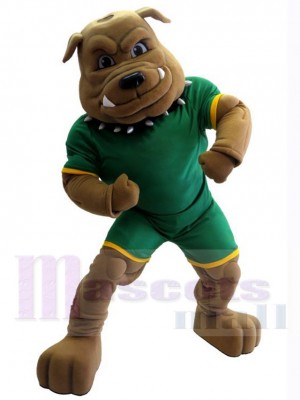 Bulldog Custom Animal Mascot Costume