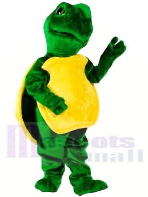 Turtle Mascot Costumes Free Shipping 