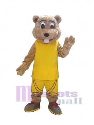 Gopher mascot costume