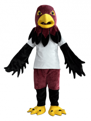 Hawk mascot costume
