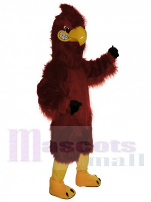 Hawk mascot costume