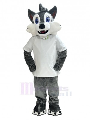 Wolf mascot costume