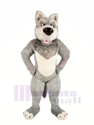 Grey Wolf with Big Nose Mascot Costumes Cartoon	