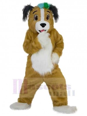 Dog mascot costume