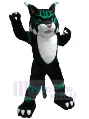 Cat mascot costume