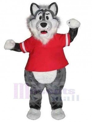 Wolf mascot costume