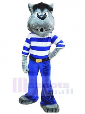 Wolf mascot costume