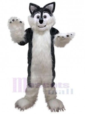 Wolf mascot costume