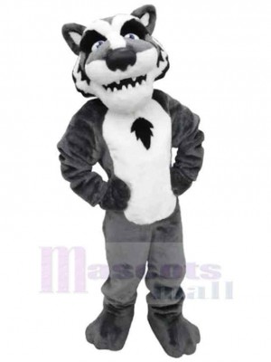 Wolf mascot costume