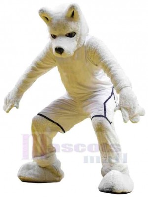 Wolf mascot costume