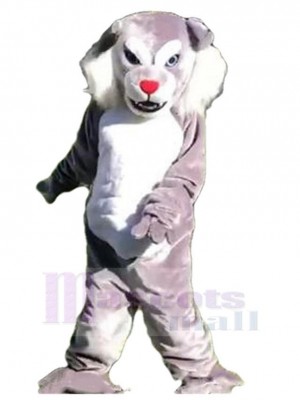 Wolf mascot costume
