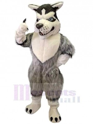 Wolf mascot costume