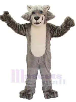 Wolf mascot costume