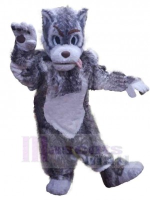 Wolf mascot costume