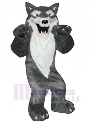 Wolf mascot costume