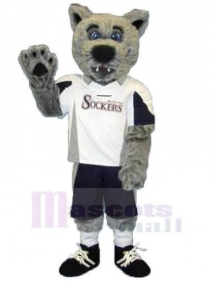 Wolf mascot costume