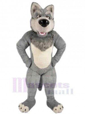 Wolf mascot costume