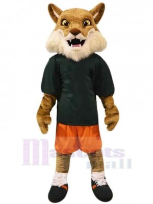Wolf mascot costume