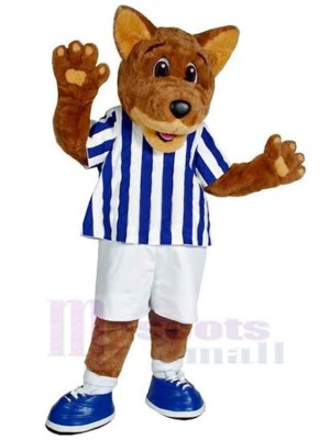 Wolf mascot costume