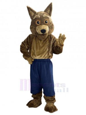 Coyote mascot costume